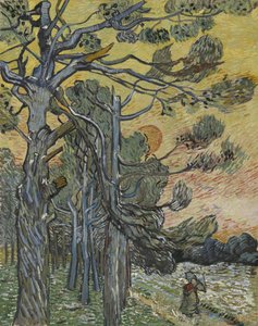 夕阳下的松树，1889年。 作者 文森特·梵高
