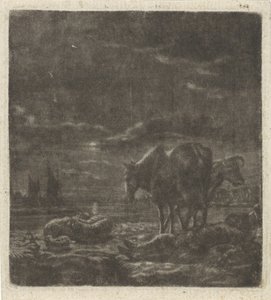 夜景与熟睡的牧羊人和牛群 作者 文森特·劳伦斯。 van der Vinne (I)（拒绝归属）