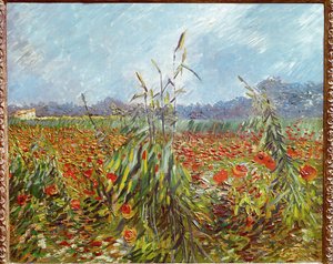 玉米田和罂粟花（布面油画） 作者 文森特·梵高