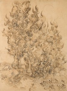 柏树 作者 文森特·梵高