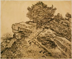 Montmajour的岩石与松树 作者 文森特·梵高