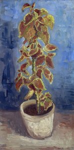 花盆里的火焰荨麻 par Gogh, Vincent, van (1853-1890).布面油画，尺寸：42,1x21,9 作者 文森特·梵高