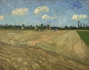犁过的田地（犁沟）。 1888年 作者 文森特·梵高