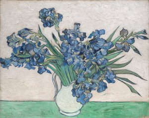 鸢尾花，1890年。 作者 文森特·梵高