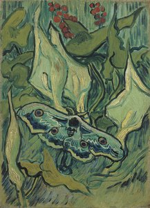 Le grand paon vert (sphinx tete de mort) - 文森特-梵高（1853-1890 年）的油画，纸上水彩（33.5x24.5 厘米） 作者 文森特·梵高