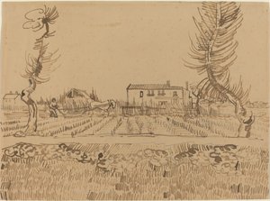 阿尔勒附近田野上的耕夫，1888年。 作者 文森特·梵高