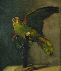 绿鹦鹉；绿鹦鹉，1885年 作者 文森特·梵高