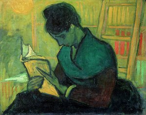 小说读者，1888年 作者 Vincent van Gogh