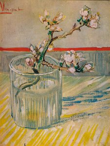 开花的茎DAmandier，1888年 作者 文森特·梵高