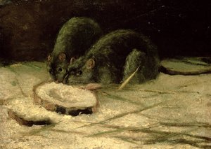 两只老鼠，约1884年 作者 文森特·梵高