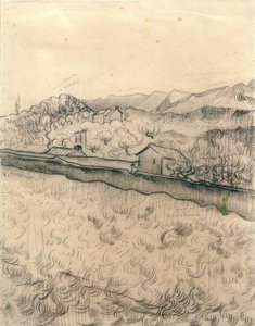 围墙领域 作者 文森特·梵高