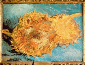 两个切掉向日葵 作者 文森特·梵高