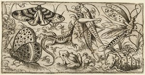 草地上的昆虫和动物群..., 1530 - 1562.  
