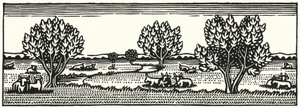 Illustration for Tess Of The DUrbervilles by Thomas Hardy (engraving)