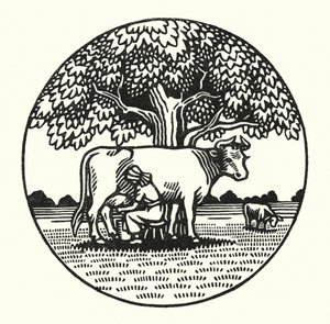 托马斯·哈代的《德伯家的苔丝》插图（版画）