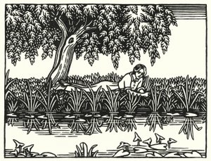 托马斯·哈代的《德伯家的苔丝》插图（版画）
