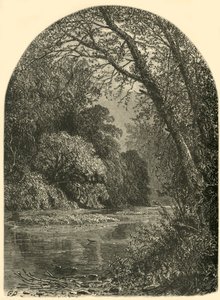 苔藓群岛，在朱尼亚塔"，1874年。