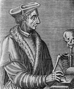 法国医生、天文学家和数学家让-弗朗索瓦-费尔内尔（1497-1558）的肖像，尼古拉二世-德-拉梅森（约1638-1694）的雕刻作品 作者 WG（后）塞耶