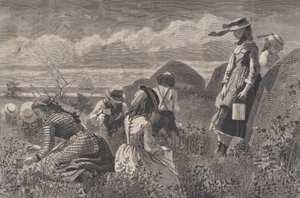 采集浆果 哈珀周刊》，第十八卷，1874年7月11日。 作者 WH拉加德