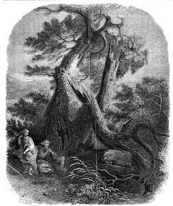 木版画标本，《尼奥比的孩子们之死》，......1844年。