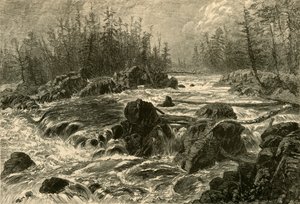 圣路易斯河的达勒斯》，1874年。  