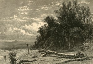 森林湖的岸边》，1874年。  