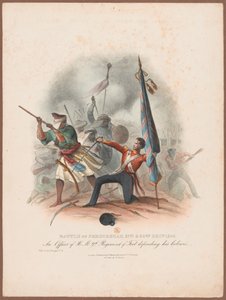 ？Ferozeshah战役（1845年12月21日至22日）。第9军团的军官捍卫了自己的色彩？ 作者 W·科勒