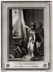 蜘蛛变身为蜘蛛，1775年