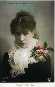 Henriette Rosine Bernard又名Sarah Bernhardt(1844-1923)扮演小仲马的 "茶花女"(照片)