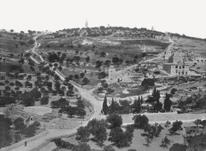 橄榄山，耶路撒冷，巴勒斯坦，1895年。