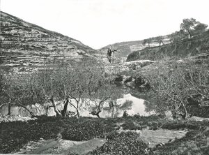 西洛阿姆水池，耶路撒冷，巴勒斯坦，1895年。 作者 W和S有限公司