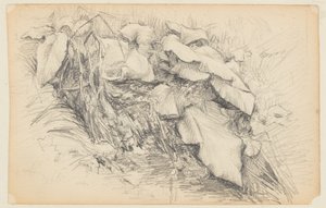 研究草和植物 作者 沃尔特克拉克