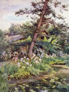 京都Nichi大谷茶园的绣球花 作者 沃尔特·弗雷德里克·屋顶·廷代尔