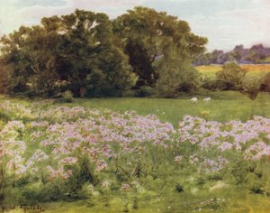The New Forest: Riversdale, Boldre (colour litho) 作者 沃尔特·弗雷德里克·屋顶·廷代尔