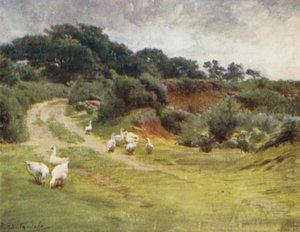 新森林：Royden Common，靠近 Brokenhurst（彩色石版画） 作者 沃尔特·弗雷德里克·屋顶·廷代尔