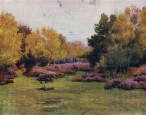 The New Forest: Rushpole Wood, Lyndhurst (colour litho) 作者 沃尔特·弗雷德里克·屋顶·廷代尔