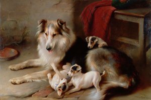 一只牧羊犬与狐狸梗小狗，1913年