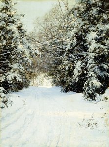 积雪的树木