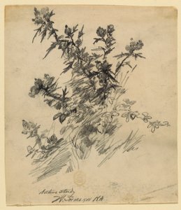 自然研究 作者 沃尔特·斯劳（Walter Shirlaw）