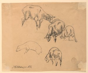 绵羊研究 作者 沃尔特·斯劳（Walter Shirlaw）