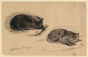 猫的研究 作者 沃尔特·斯劳（Walter Shirlaw）