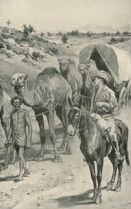 澳大利亚西部的Camel-Caravan