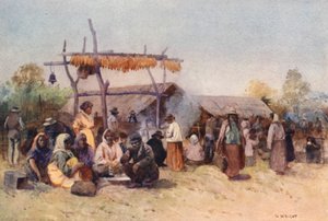 新西兰：原住民聚会（彩色印刷版）