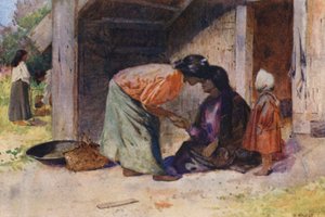 新西兰："Te Hongi"（彩色印刷版）