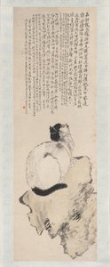 猫。 作者 王丽