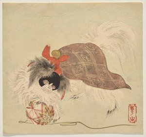 身披紫色斗篷的日本秦狗，玩弄丝线球