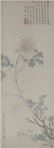 牡丹，悬挂卷轴，1532（纸上的墨水和颜色）