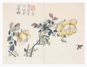 芥菜籽园 作者 文殊超