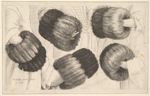 莫夫的五种观点，1645-46。 作者 瓦茨劳斯·霍拉尔