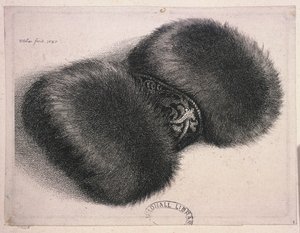一个带锦缎的大围巾，1647年 作者 瓦茨劳斯·霍拉尔
